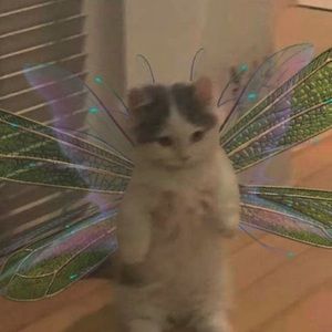 Meet your Posher, Tea